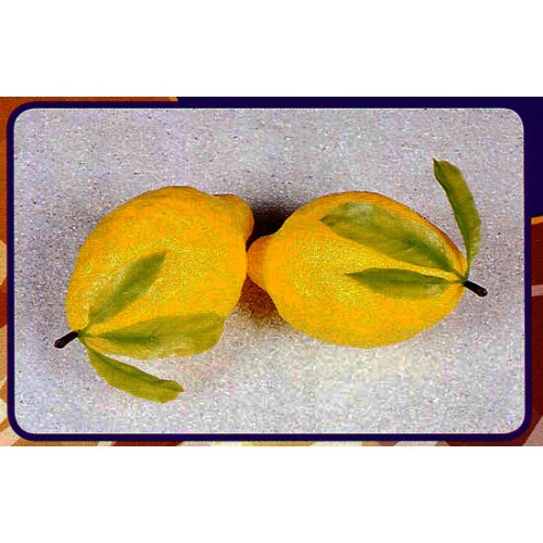 2 limoni giganti con foglie finti mm 150x260 (prezzi per 1 confezione da 2 limoni giganti con foglie)