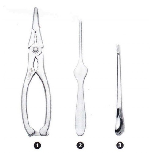 Pinza e forchette inox per aragosta
