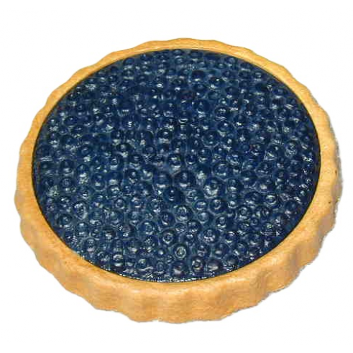 1 torta di mirtilli finta mm 230