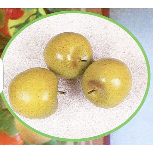 3 mele medie verdi finte mm 75x65 (prezzi per 1 confezione da 3 mele medie verdi)