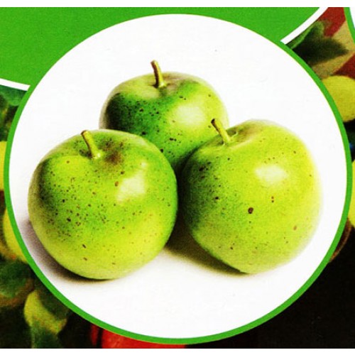 3 mele verdi finte mm 80 (prezzi per 1 confezione da 3 mele verdi)