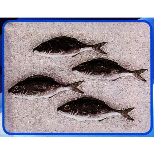 4 sardine finte mm 120x40 (prezzi per 1 confezione da 4 sardine)