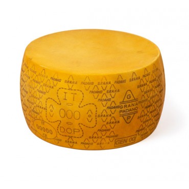 Forma di Grana Padano marchiata cm 45x24