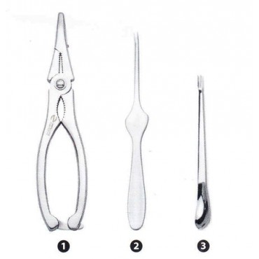 Pinza e forchette inox per aragosta
