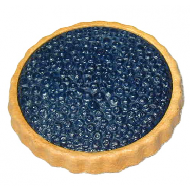 1 torta di mirtilli finta mm 230