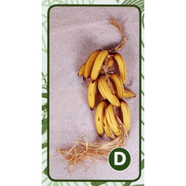 Casco di banane finto artificiale con 15 banane per vetrine di negozi e punti vendita, prezzo per 1 casco completo.