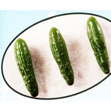 3 cetrioli finti mm 50x180 (prezzi per 1 confezione da 3 cetrioli)