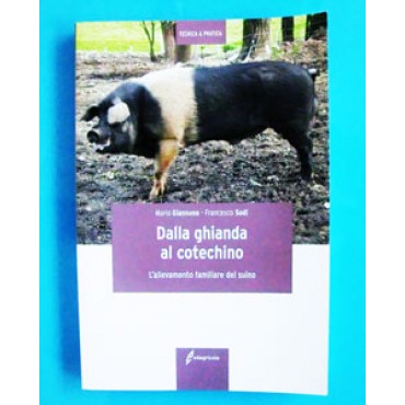 DALLA GHIANDA AL COTECHINO. L'allevamento familiare del suino; Mario Giannone - Francesco Sodi. 203 pagine, formato cm 15x21.