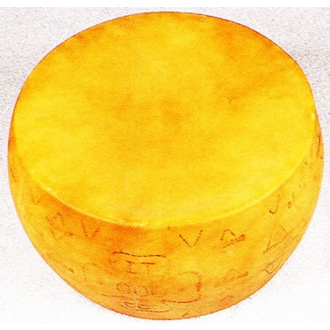 Forma di Grana Padano marchiata cm 44x21