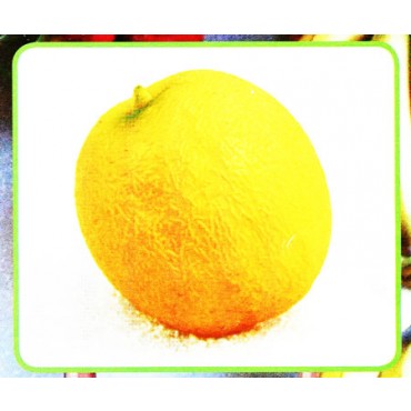 1 melone giallo finto mm 110