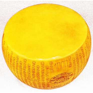 Forma di Parmigiano Reggiano marchiata cm 44x21