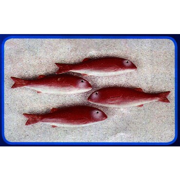 4 triglie rosse finte mm 215x55 (prezzi per 1 confezione da 4 triglie rosse)