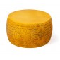 Forma di Grana Padano marchiata cm 45x24