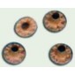 Occhielli in acciaio ottonato, con la scritta "GARANZIA", misura standard normale mm 9xAltezza5 e misura speciale 9xAltezza6.