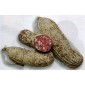 Salame toscano